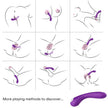 ARMONY - Vibraattori, violetti