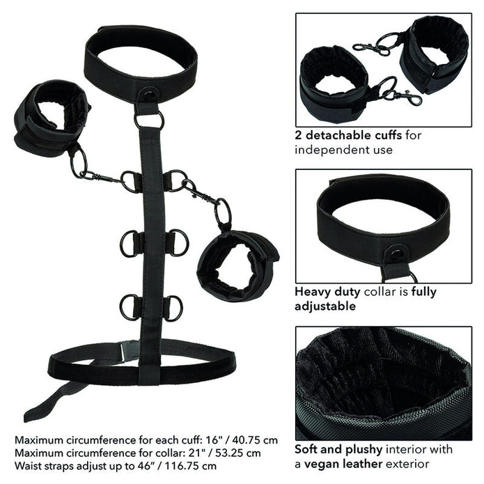CALEXOTICS - BOUNDLESS HALSBAND KROPPSELÄGGNING