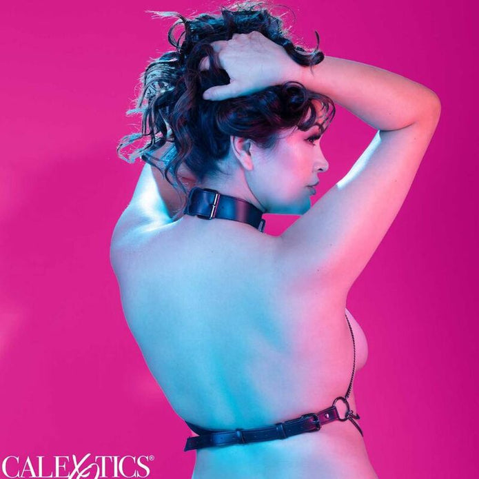 CALEXOTICS - Plus Size moniketjuiset valjaat