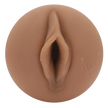FLESHLIGHT GIRLS - JANICE GRIFFITH 