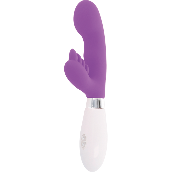 GLOSSY - RABBIT ELVIS